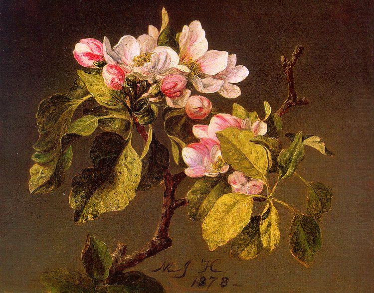 Martin Johnson Heade Apple Blossoms china oil painting image